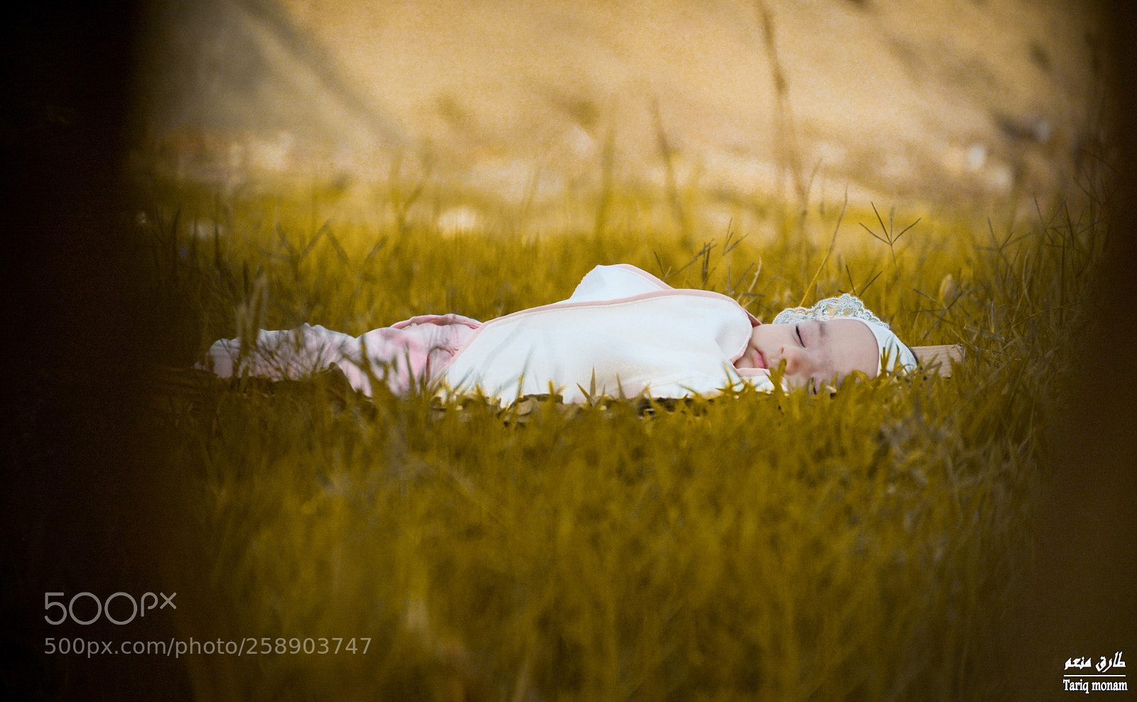 Nikon D7100 sample photo. Untitled photography