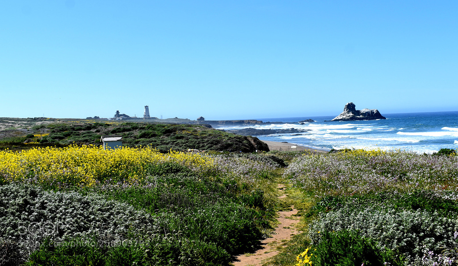 Nikon D3400 sample photo. Ocean photography