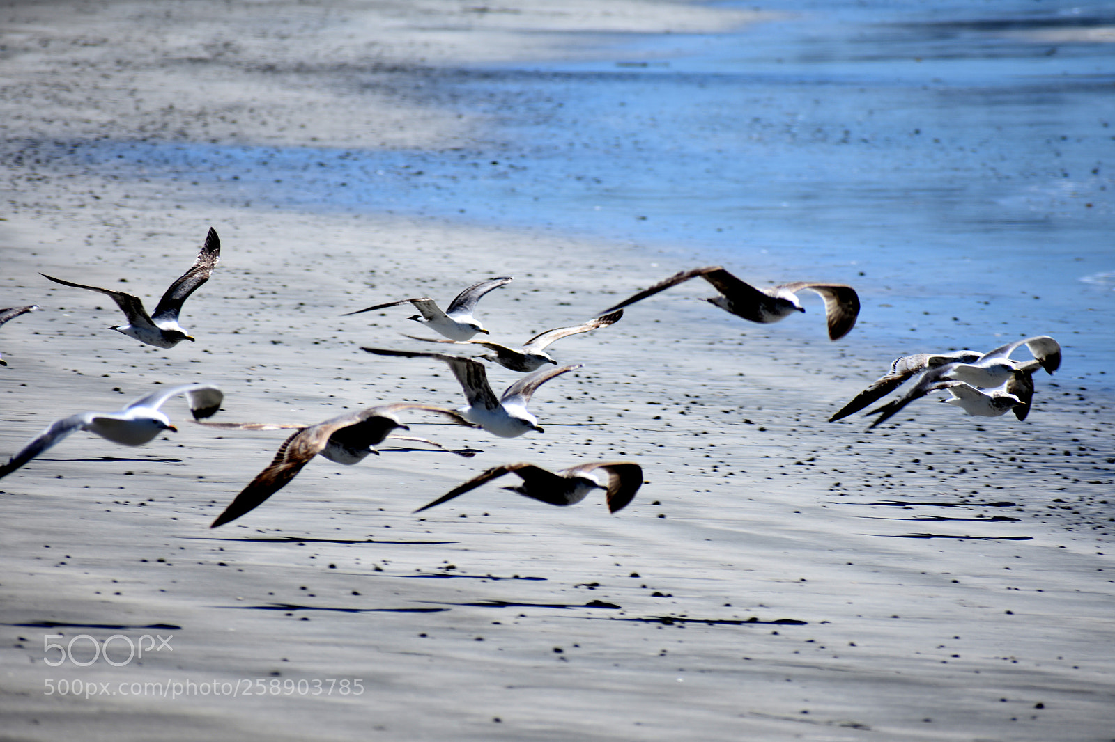 Nikon D3400 sample photo. Flight photography