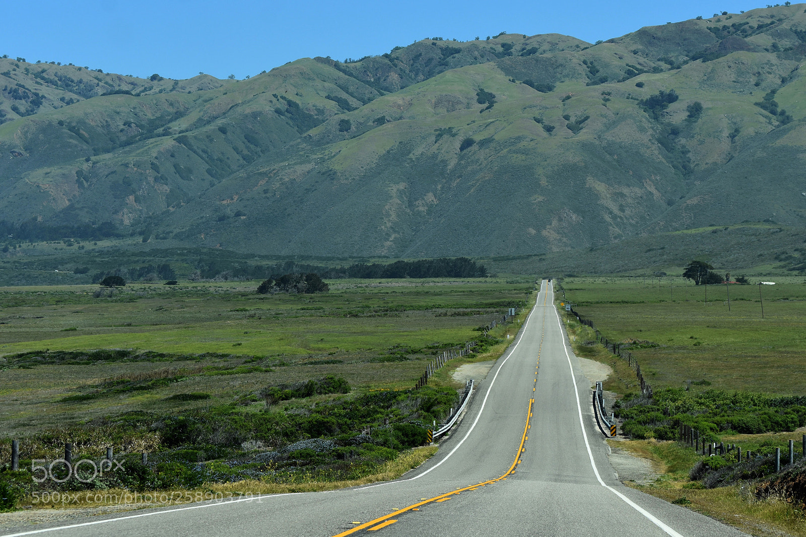Nikon D3400 sample photo. Road photography