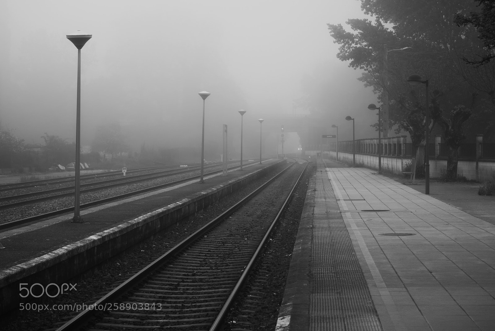 Olympus OM-D E-M10 II sample photo. Is train coming? photography