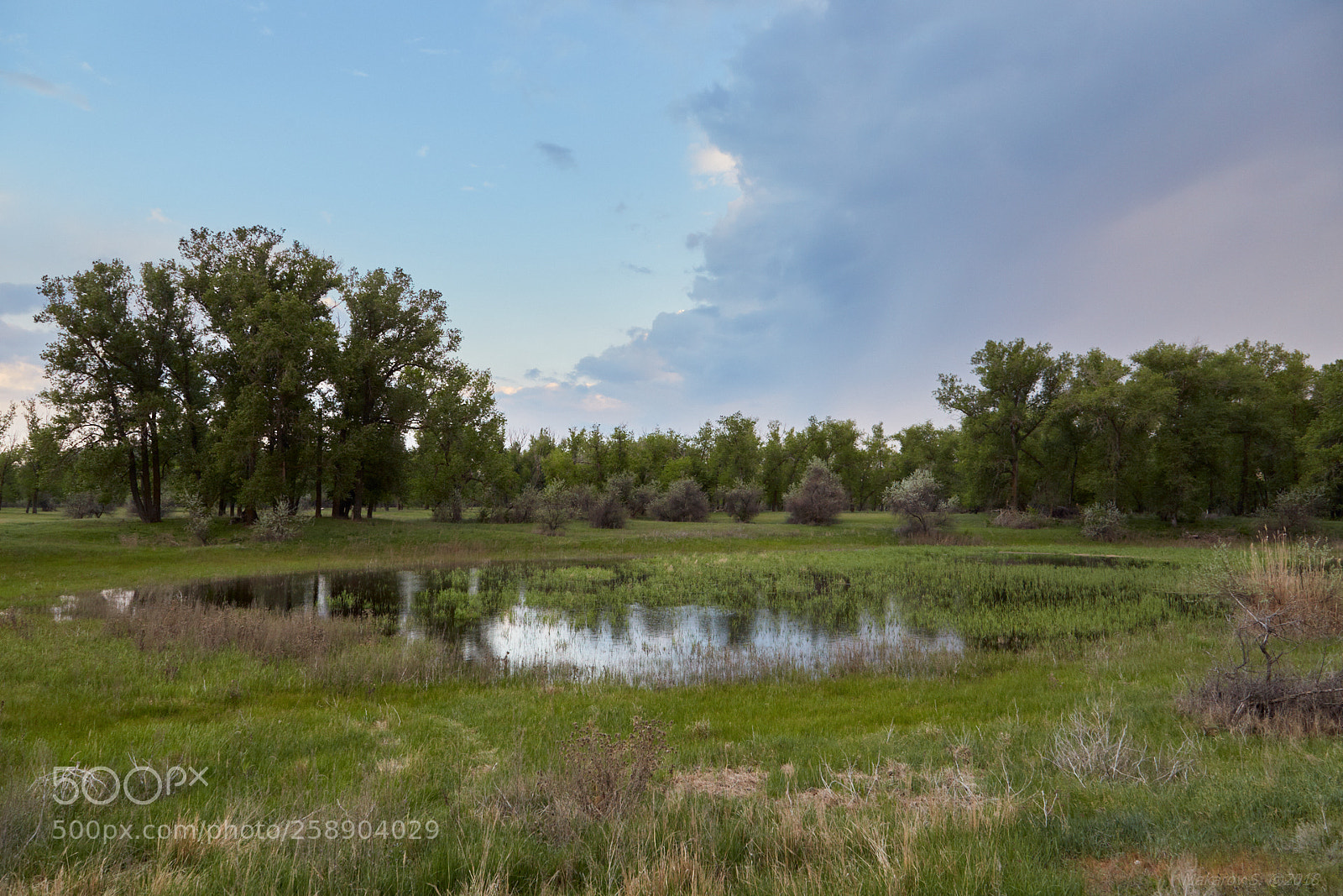 Canon EOS 6D sample photo. The volga-akhtuba floodplain photography