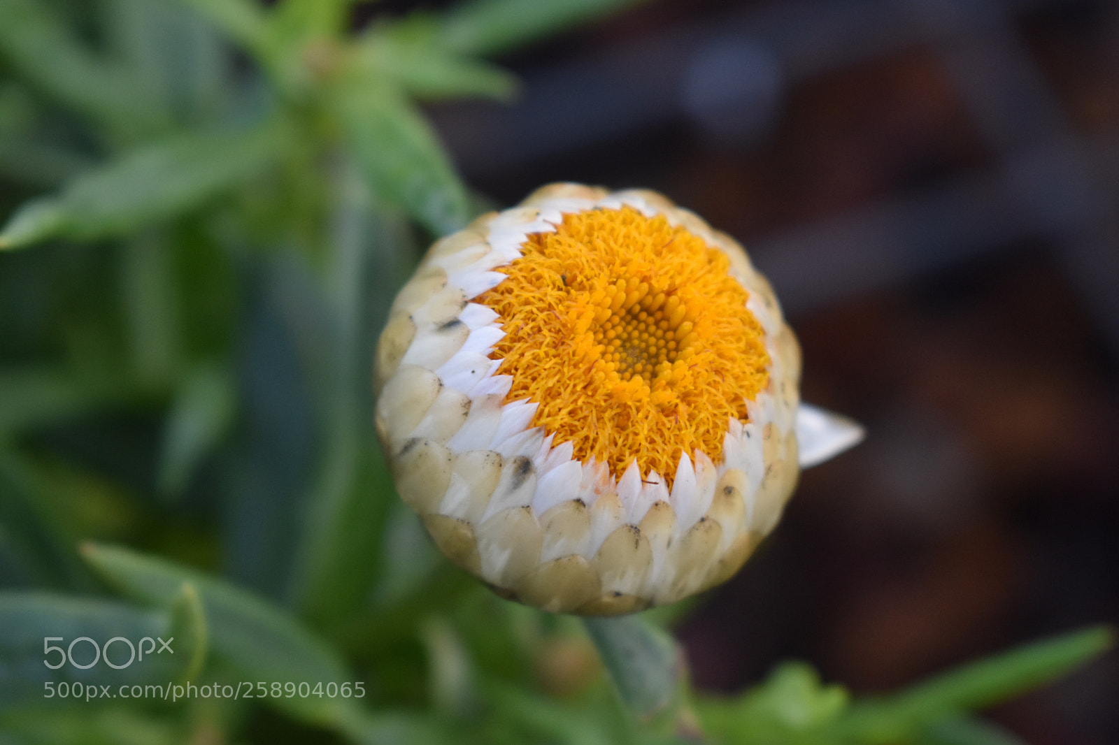 Nikon D3400 sample photo. The eye of th photography