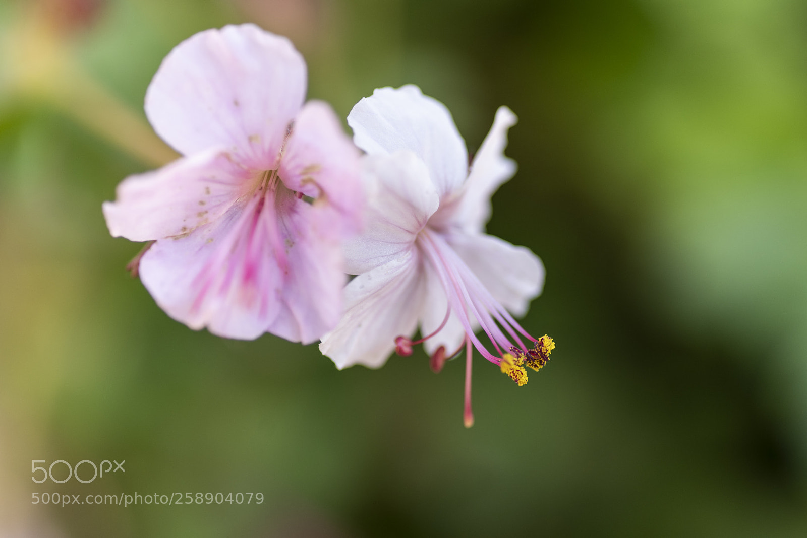 Pentax K-1 sample photo. All in focus #12 photography