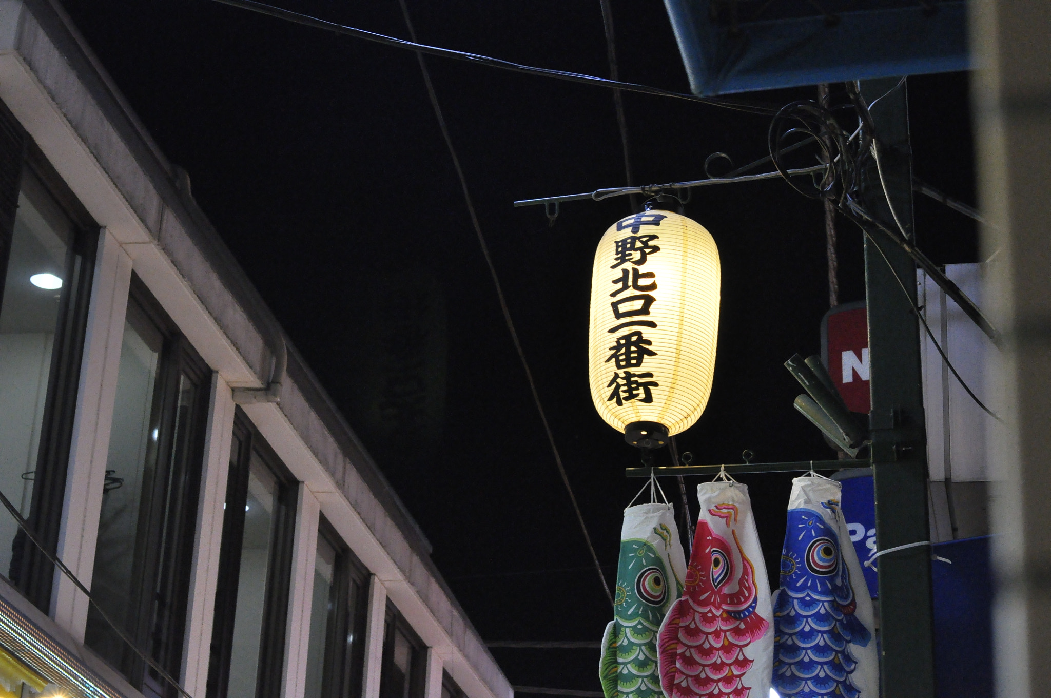 Nikon D90 + Nikon AF-S Nikkor 50mm F1.8G sample photo. G u i d i n g   l i g h t . . photography