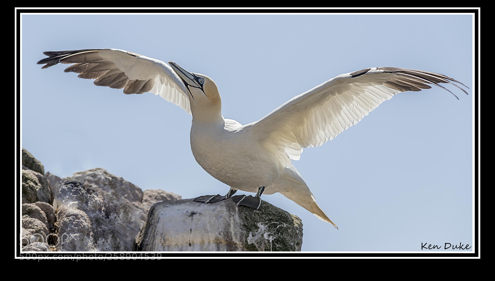 Canon EOS 6D Mark II sample photo. Liftoff photography
