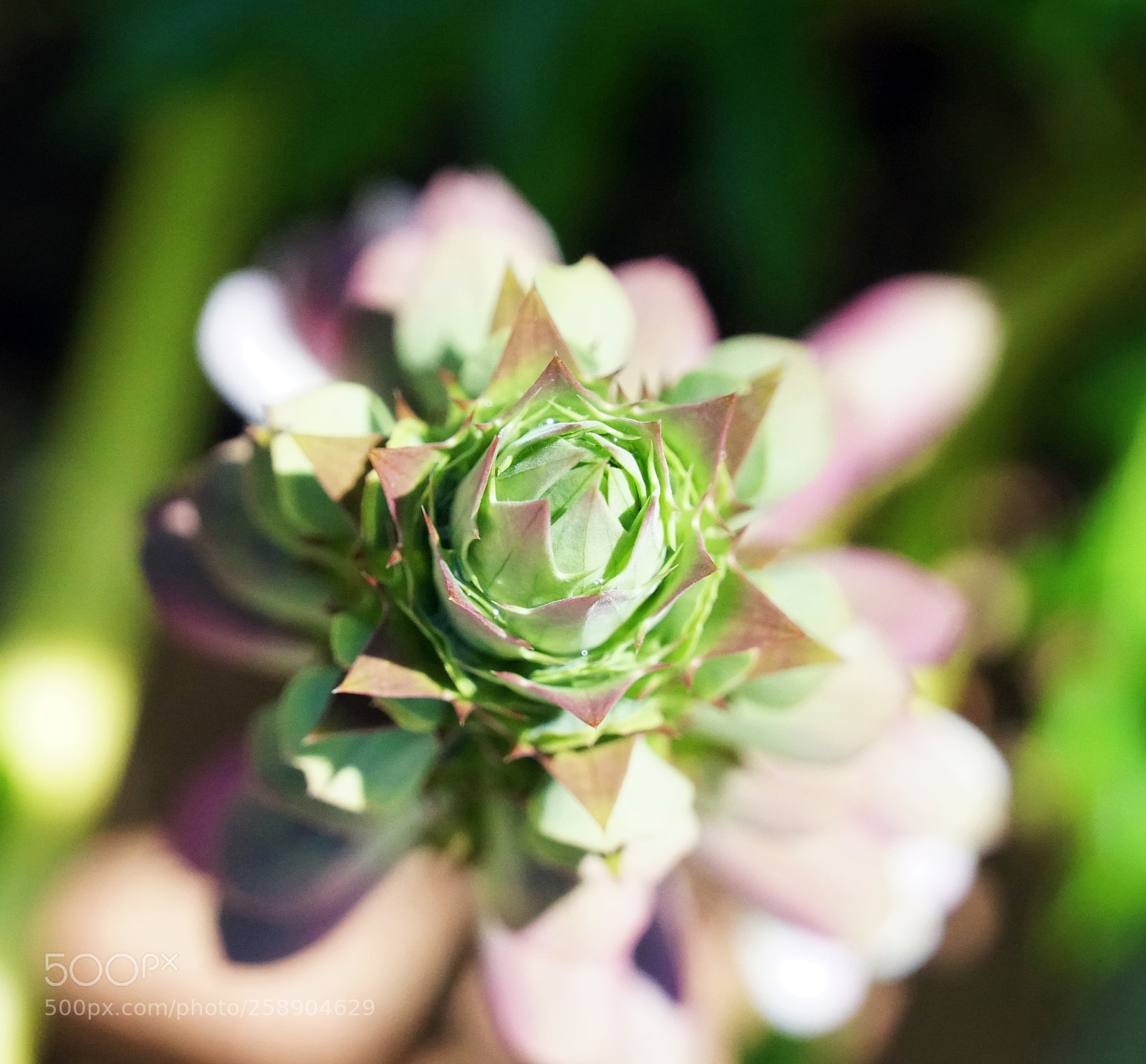 Sony a6500 sample photo. Looking down photography