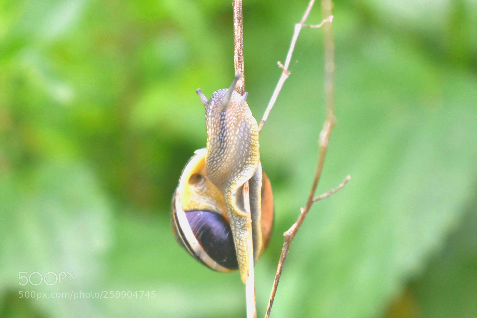 Nikon D3400 sample photo. Untitled photography