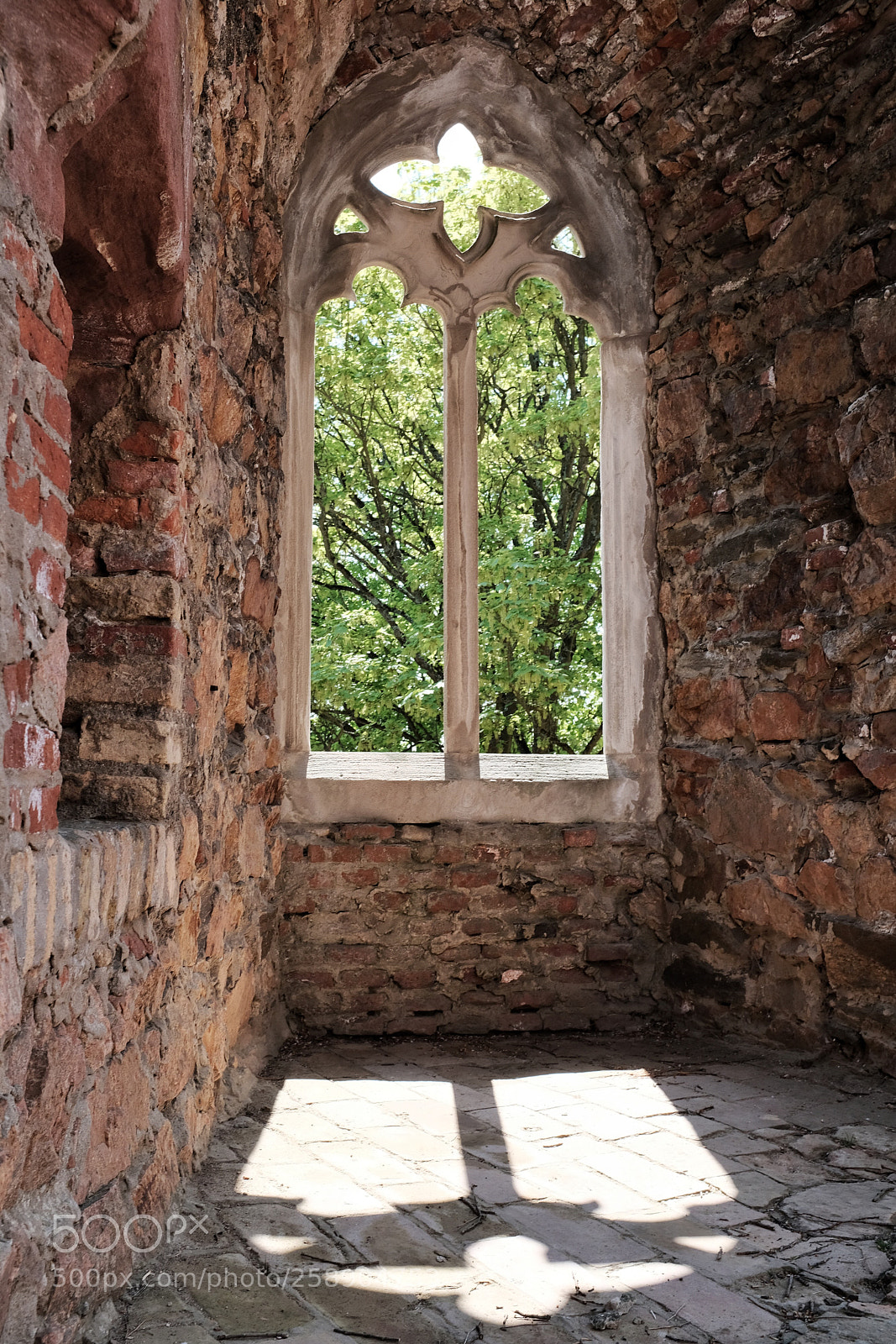 Fujifilm X100F sample photo. Window#romantic#castle#germany photography
