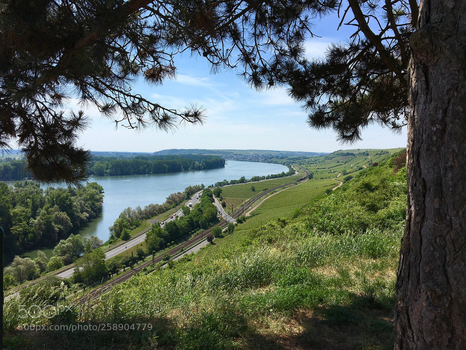 Apple iPhone 6s sample photo. River rhein photography