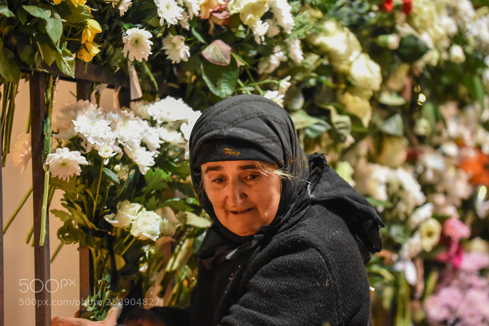 Nikon D7200 sample photo. Cvl photography