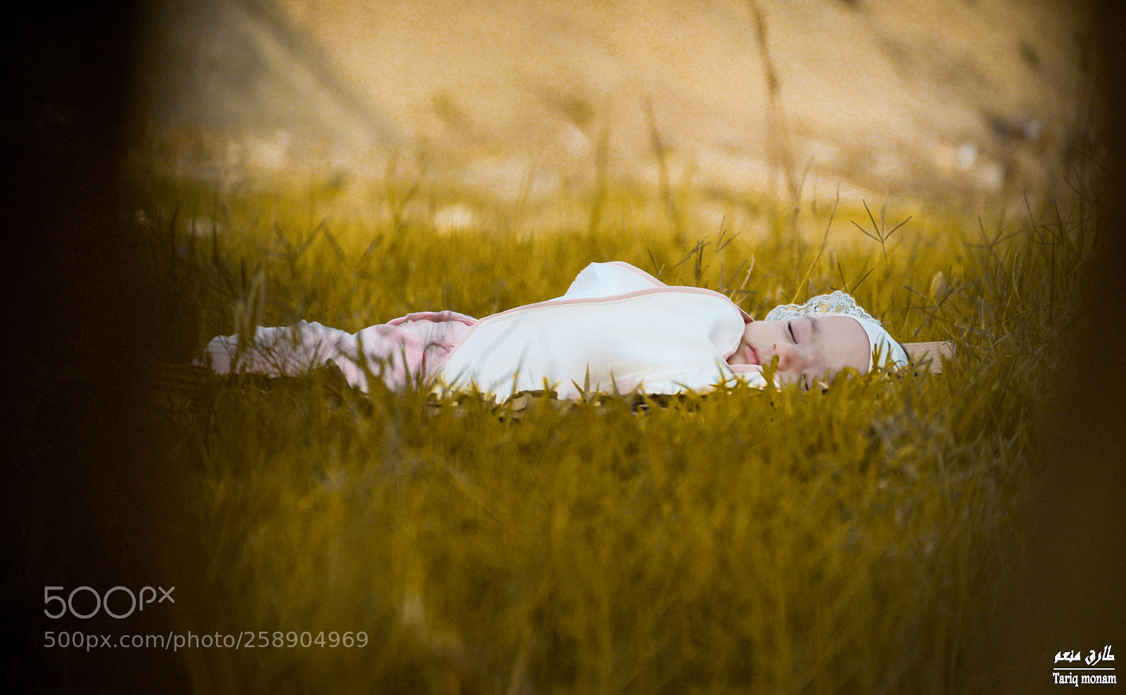 Nikon D7100 sample photo. Untitled photography