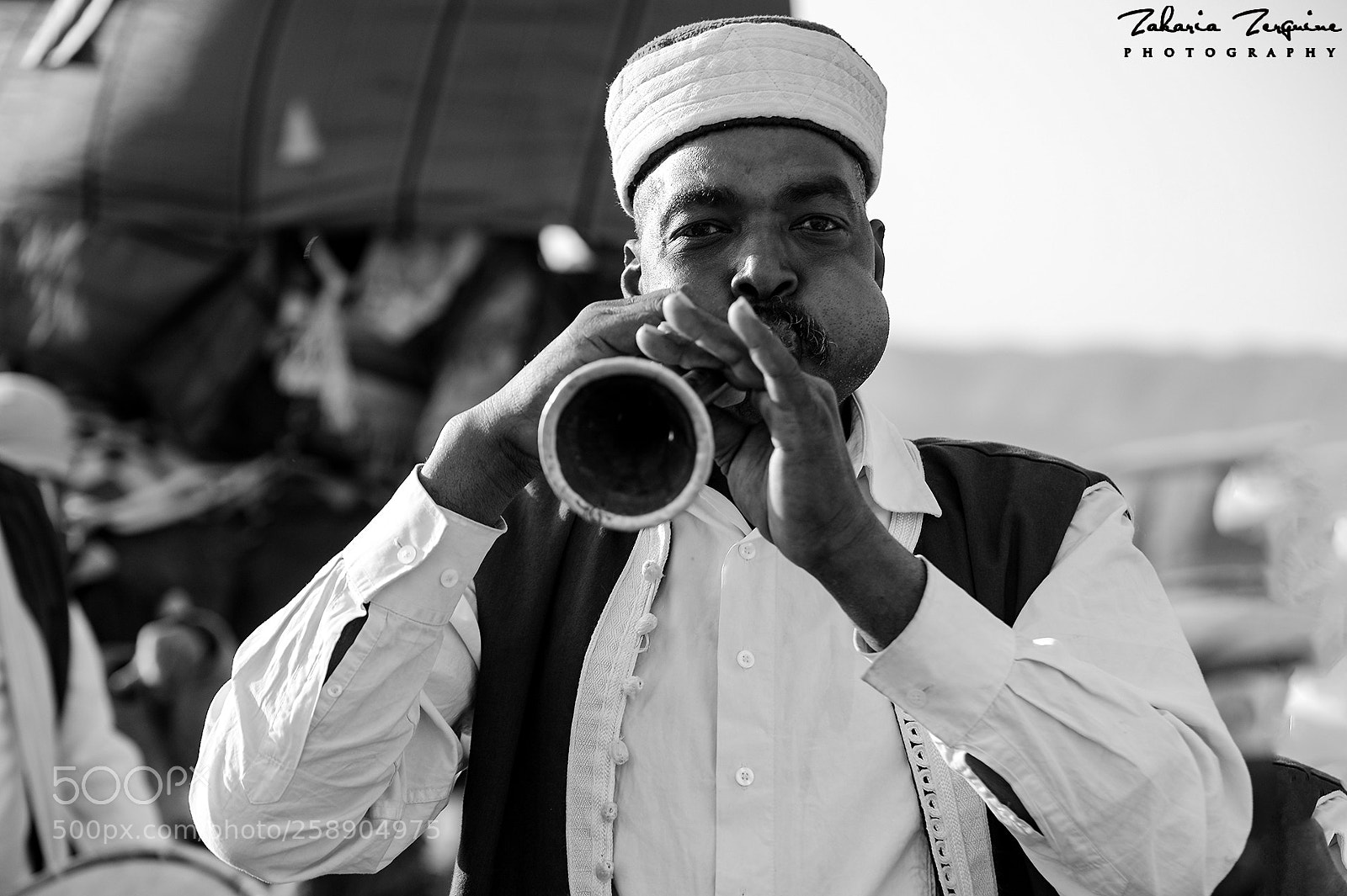 Nikon D800E sample photo. Untitled photography