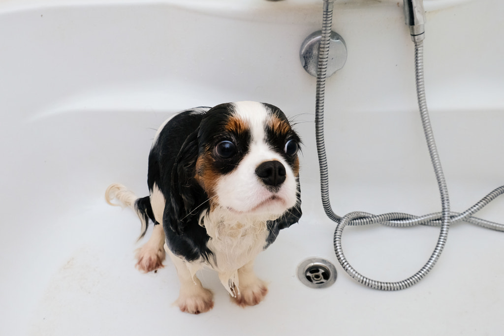 Magie bath time by BERSONNET Christophe on 500px.com