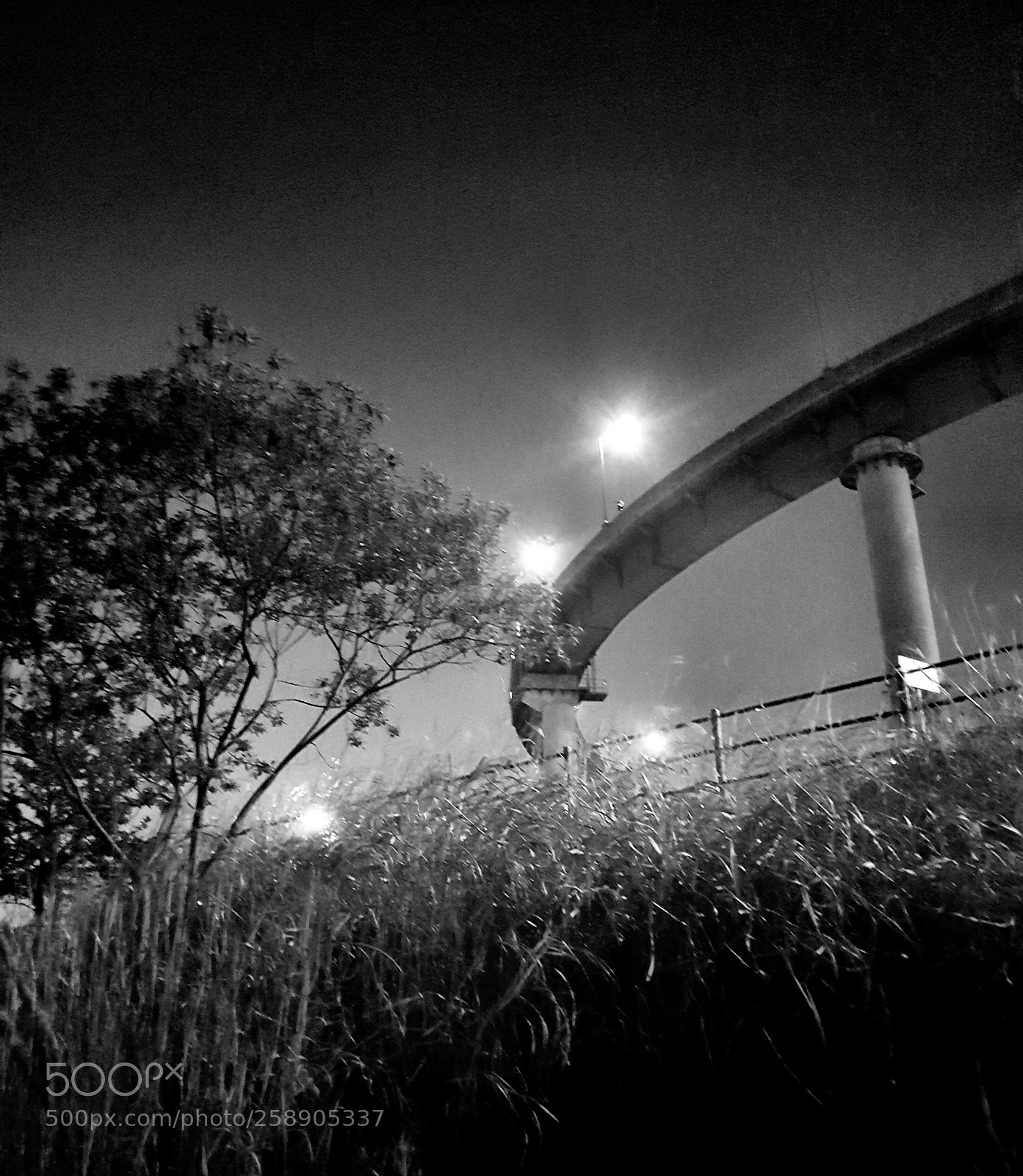 Samsung Galaxy S7 Edge sample photo. * turn round photography