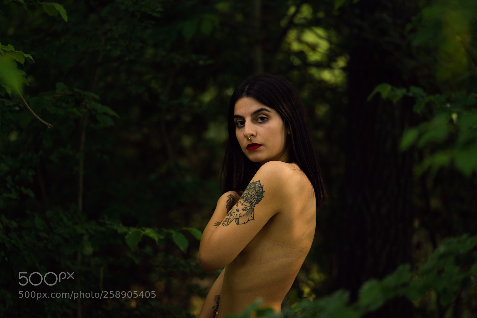 Nikon D610 sample photo. Untitled photography