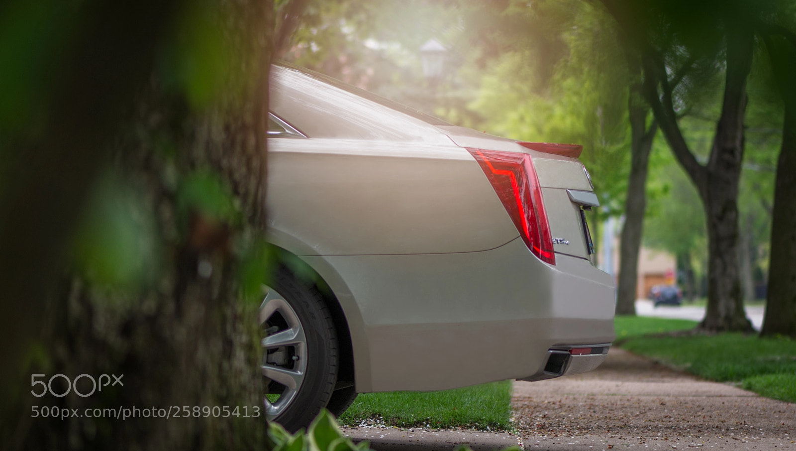 Nikon D610 sample photo. Xts photography