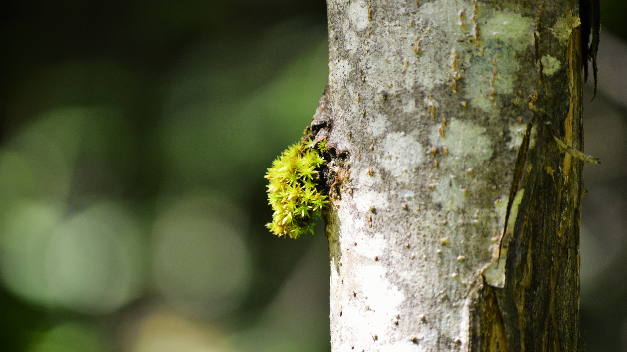 Nikon D3200 sample photo