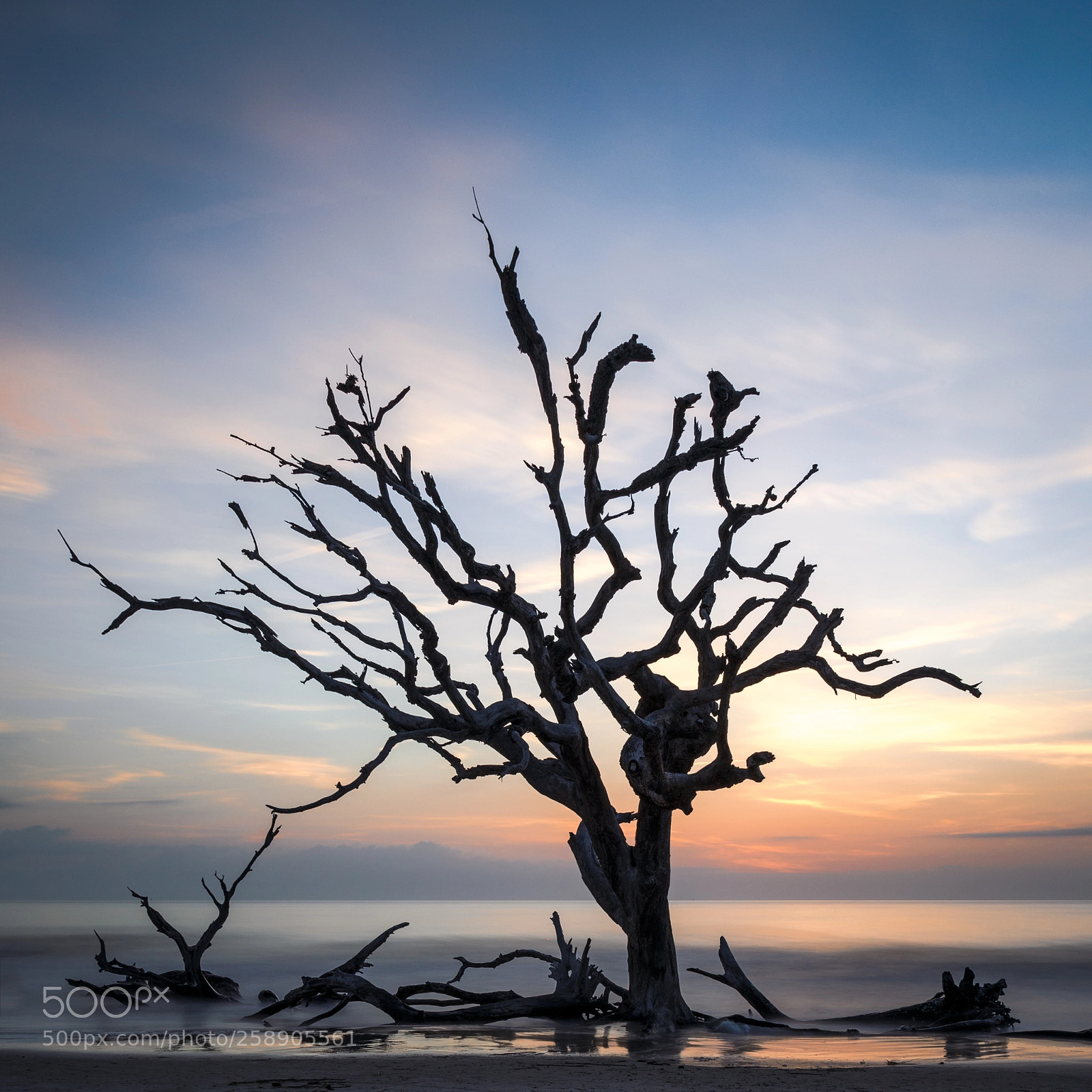 Canon EOS 6D sample photo. Driftwood beach sunrise photography