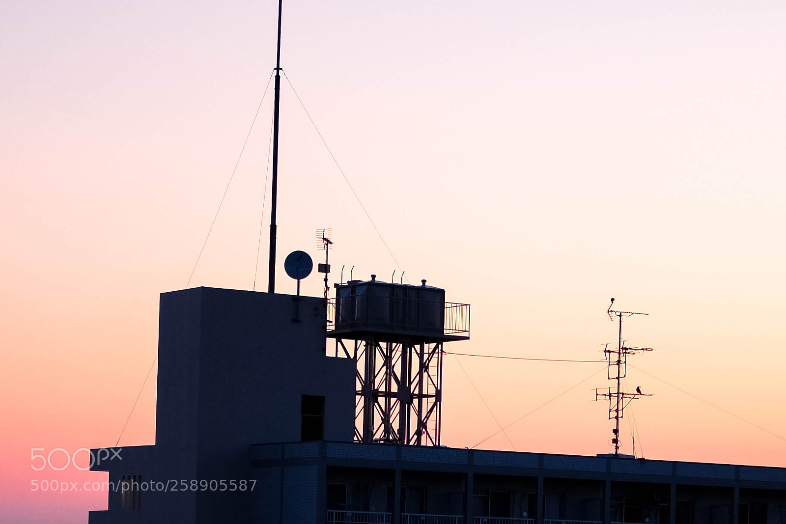 Fujifilm X-T2 sample photo. My dawn today photography