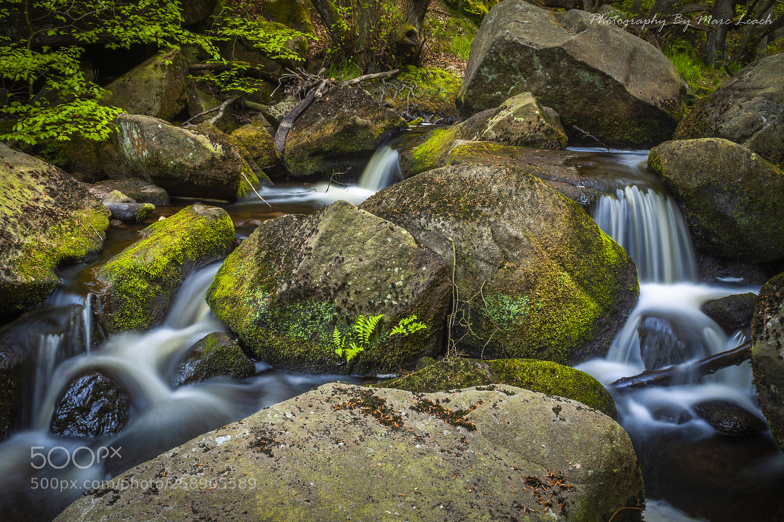 Canon EOS 50D sample photo. Padley gorge photography