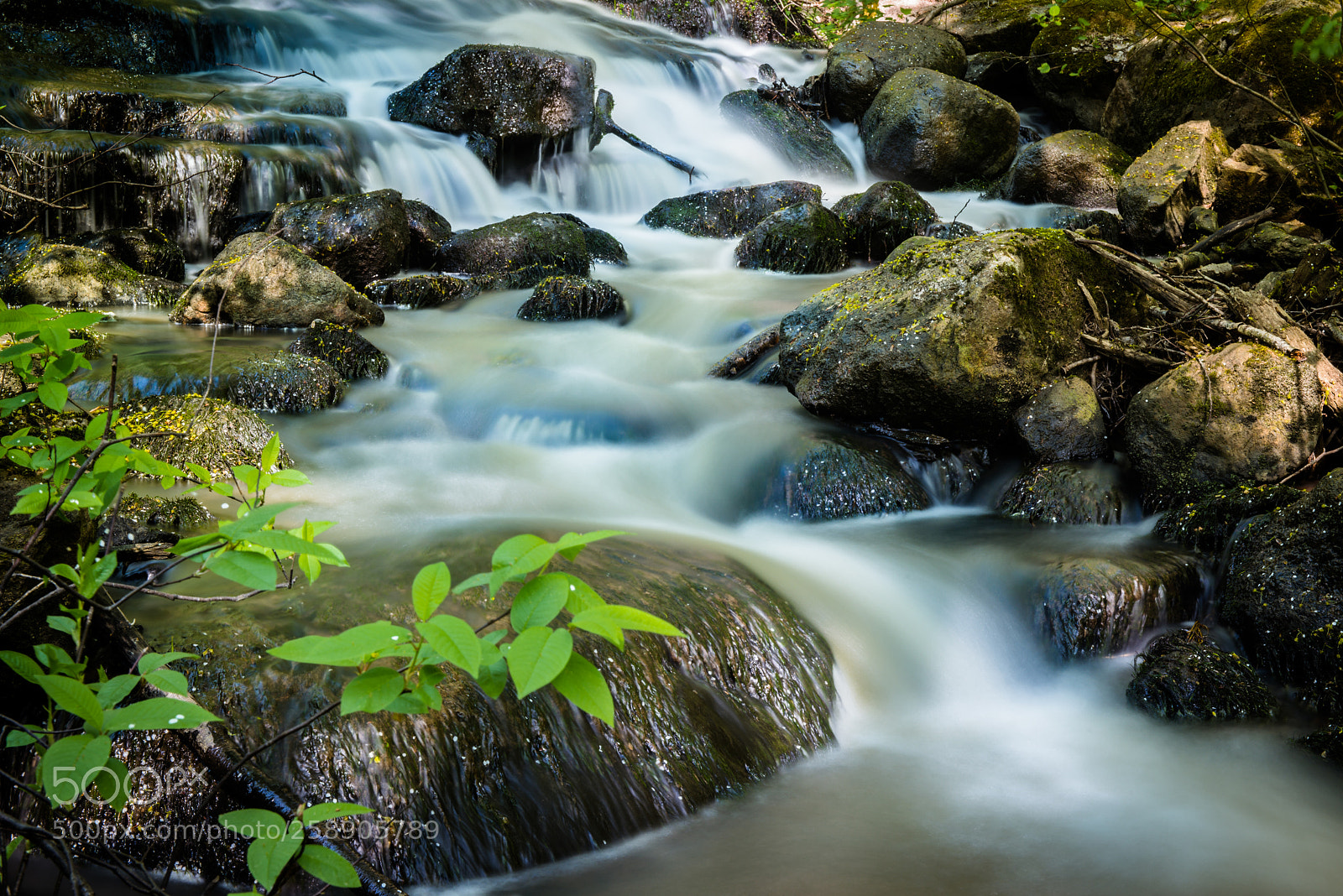 Nikon D810 sample photo. Zen photography