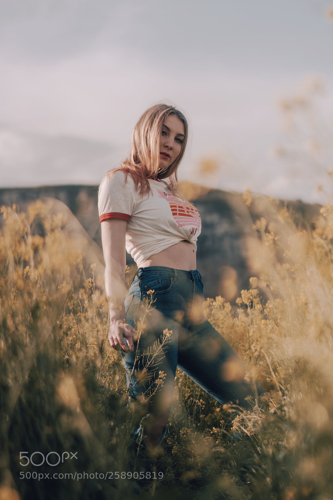Sony a6500 sample photo. Summer photography