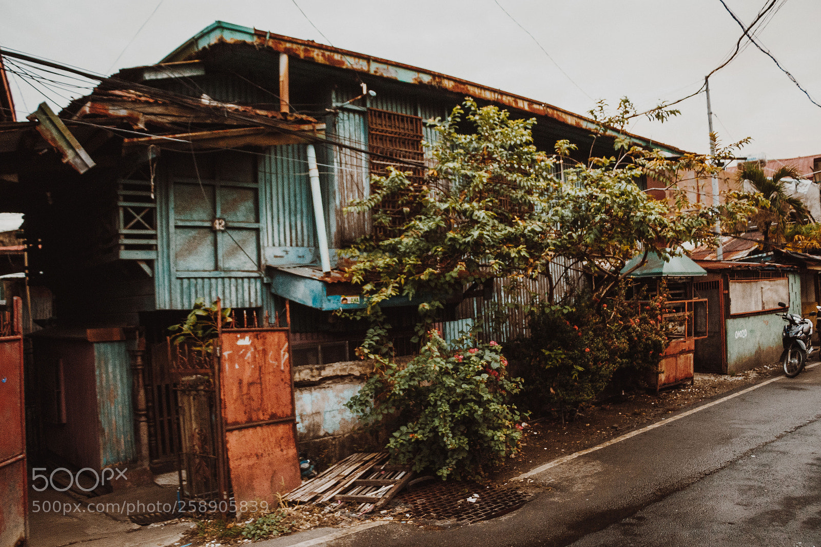 Canon EOS 70D sample photo. Cebu photography