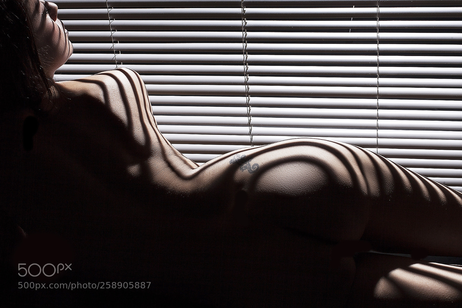 Canon EOS 5D Mark II sample photo. Curves 'n' lines photography