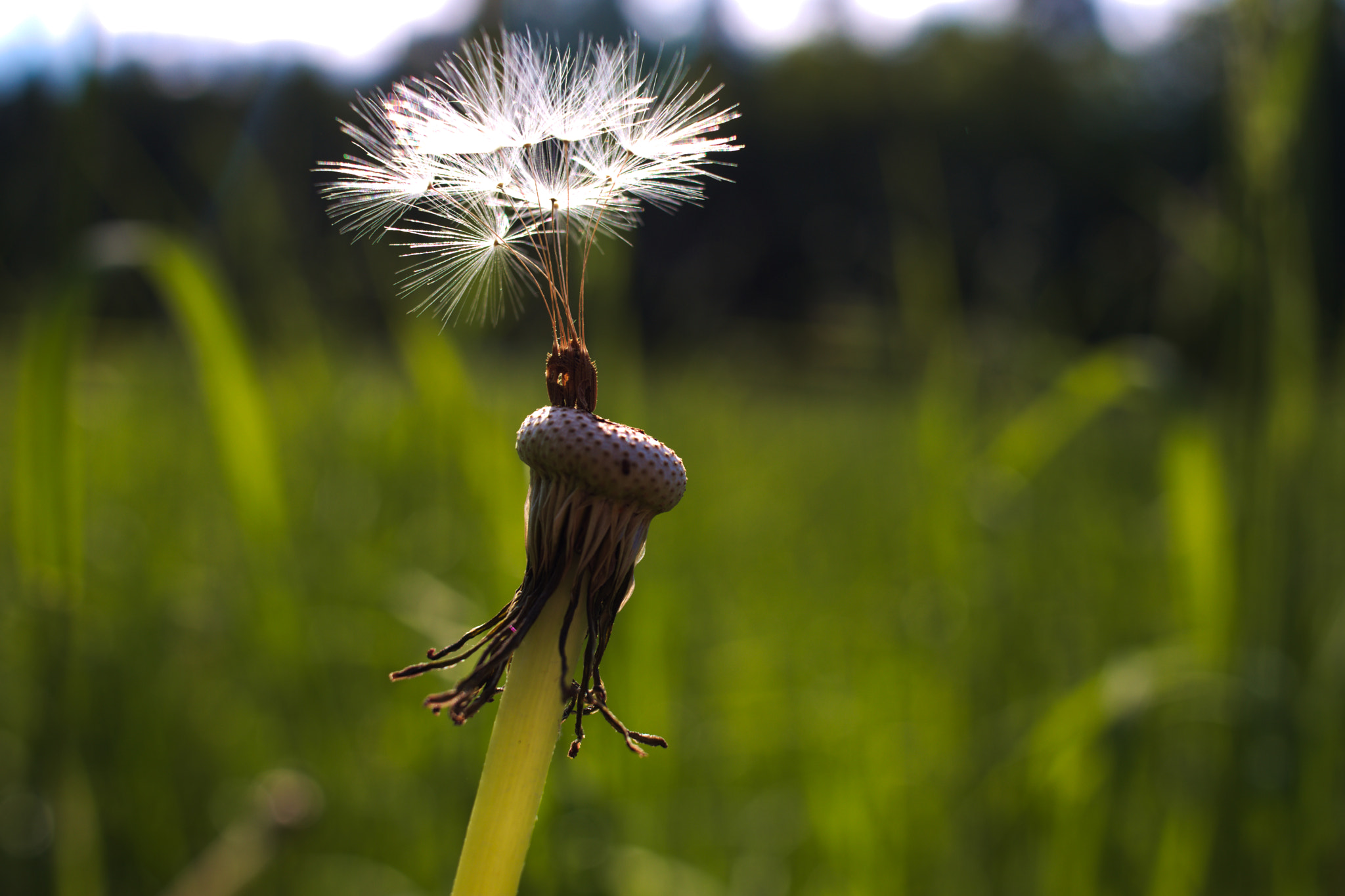 Canon EF-S 24mm F2.8 STM sample photo