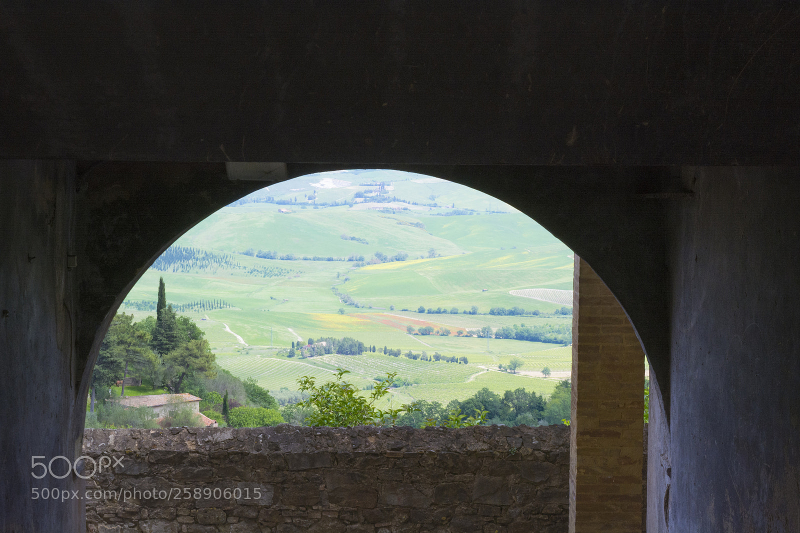 Nikon D5200 sample photo. View on tuscany. montalcino. photography