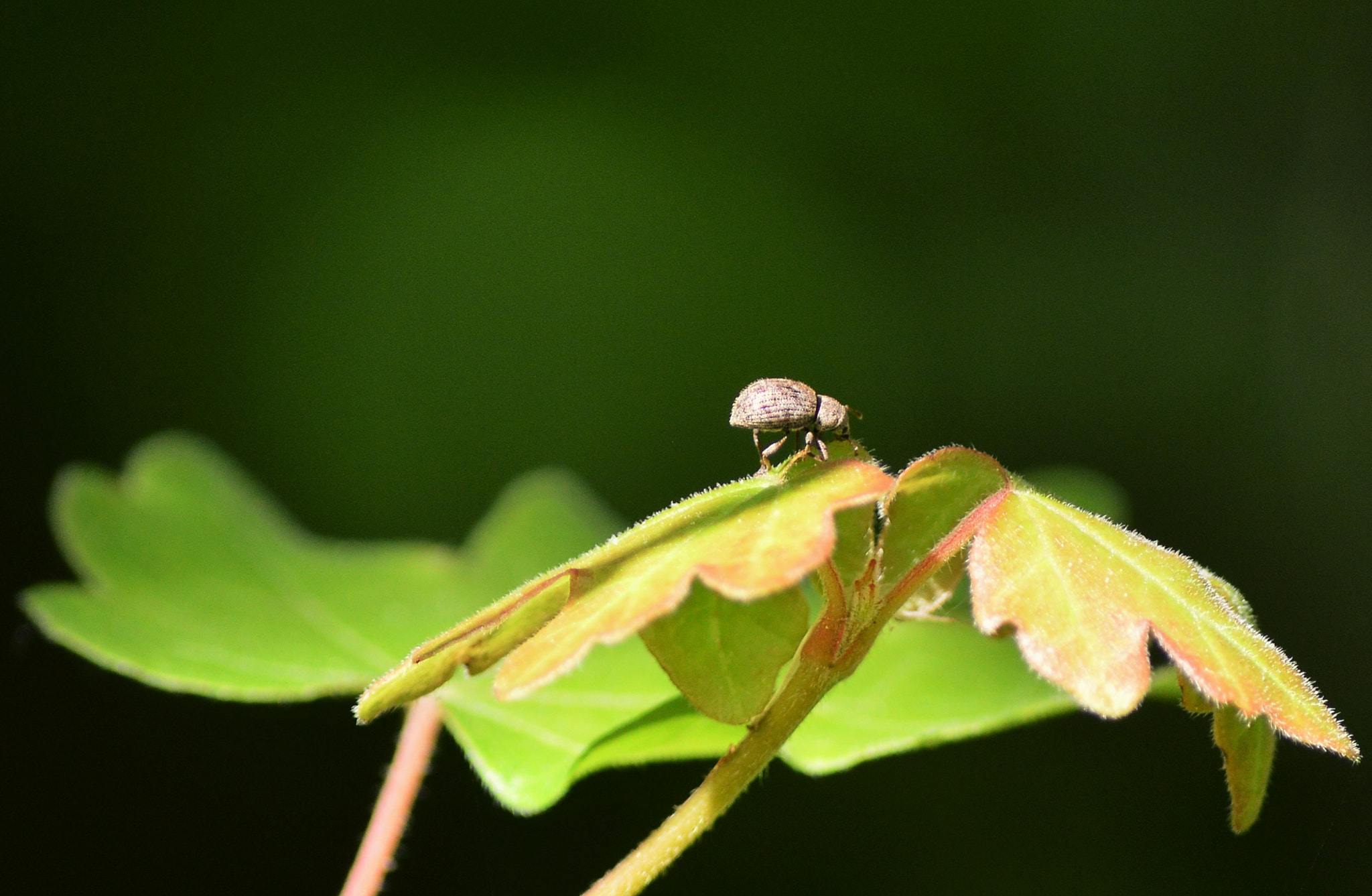 Nikon D3200 sample photo