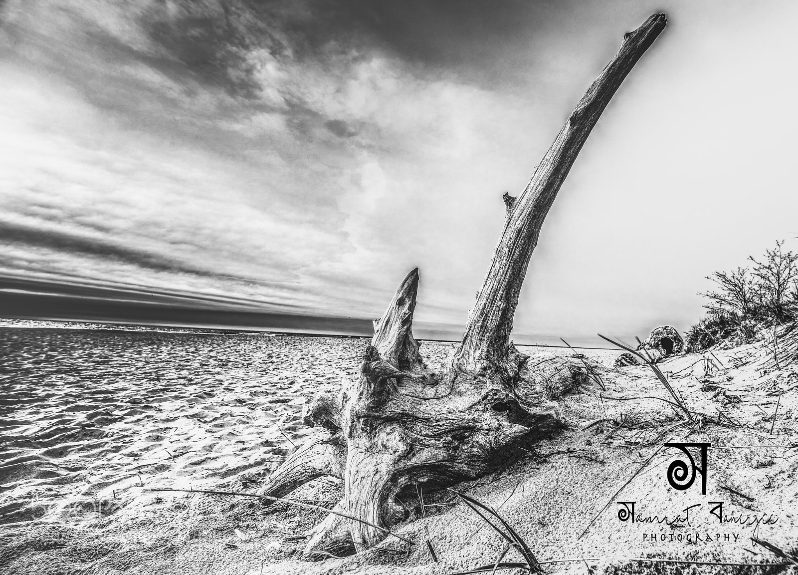 Nikon D850 sample photo. Indiana dunes photography