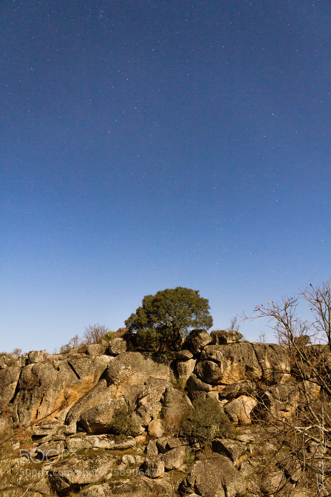 Canon EOS 7D sample photo. Night scape photography