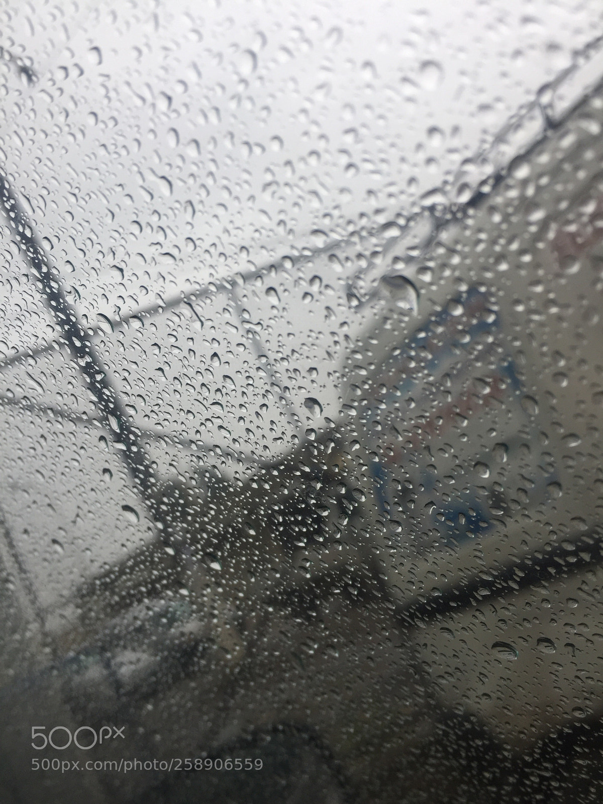 Apple iPhone 6 sample photo. Rain  photography