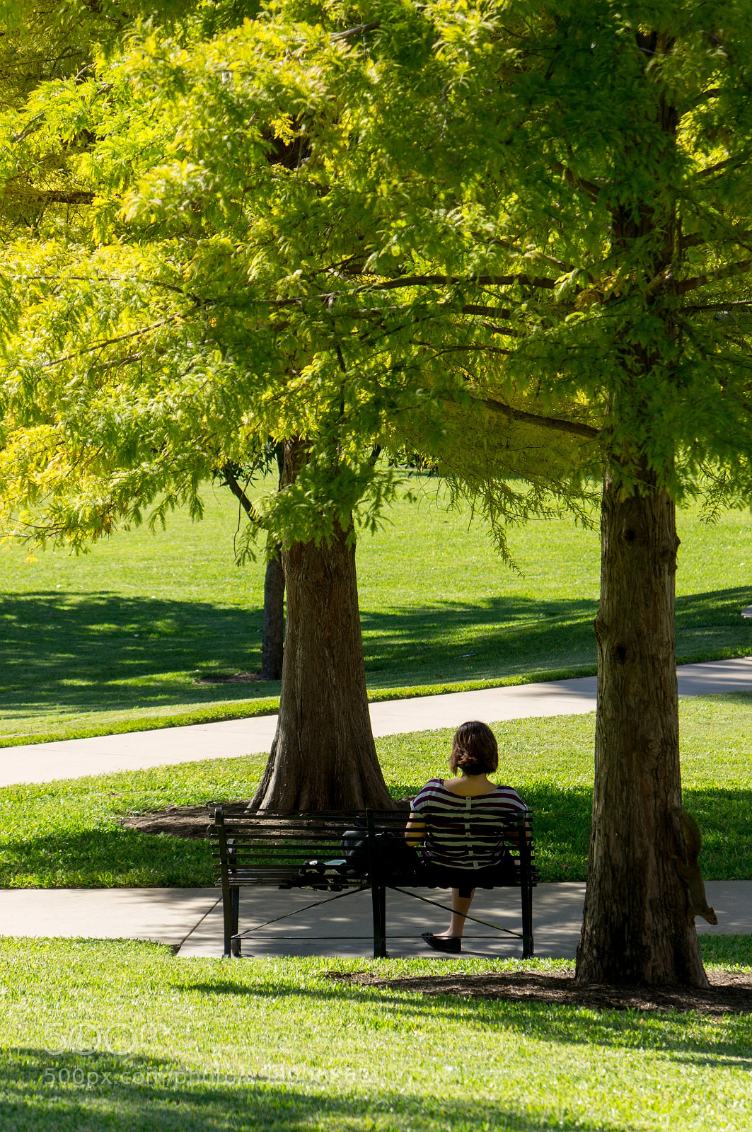 Sony SLT-A57 sample photo. Sitting on a bench photography