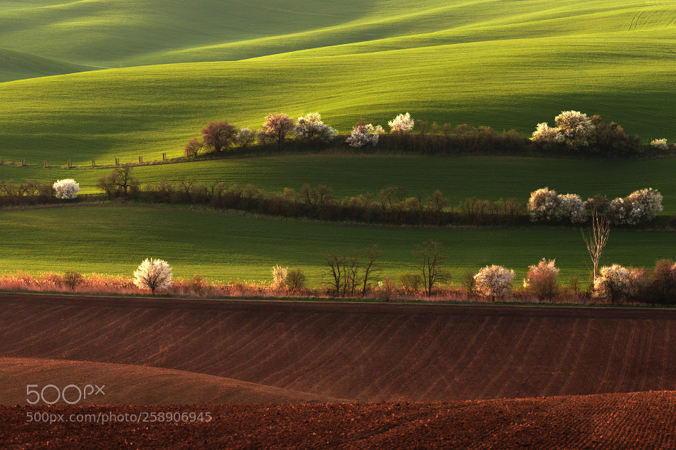 Canon EOS 6D sample photo. Moravian tuscany photography