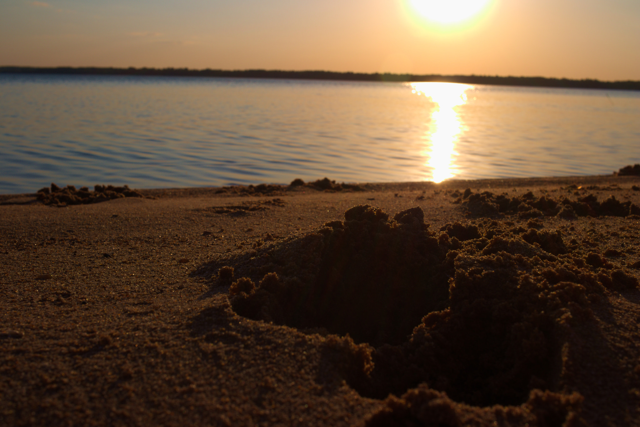 Canon EF-S 24mm F2.8 STM sample photo