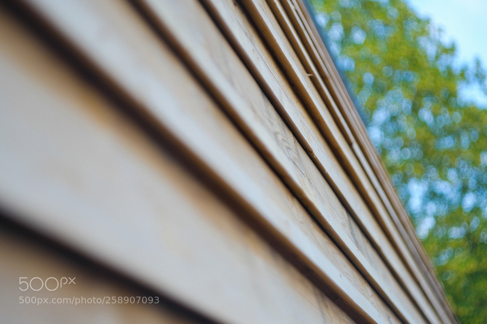 Fujifilm X-H1 sample photo. Nijmegen photography