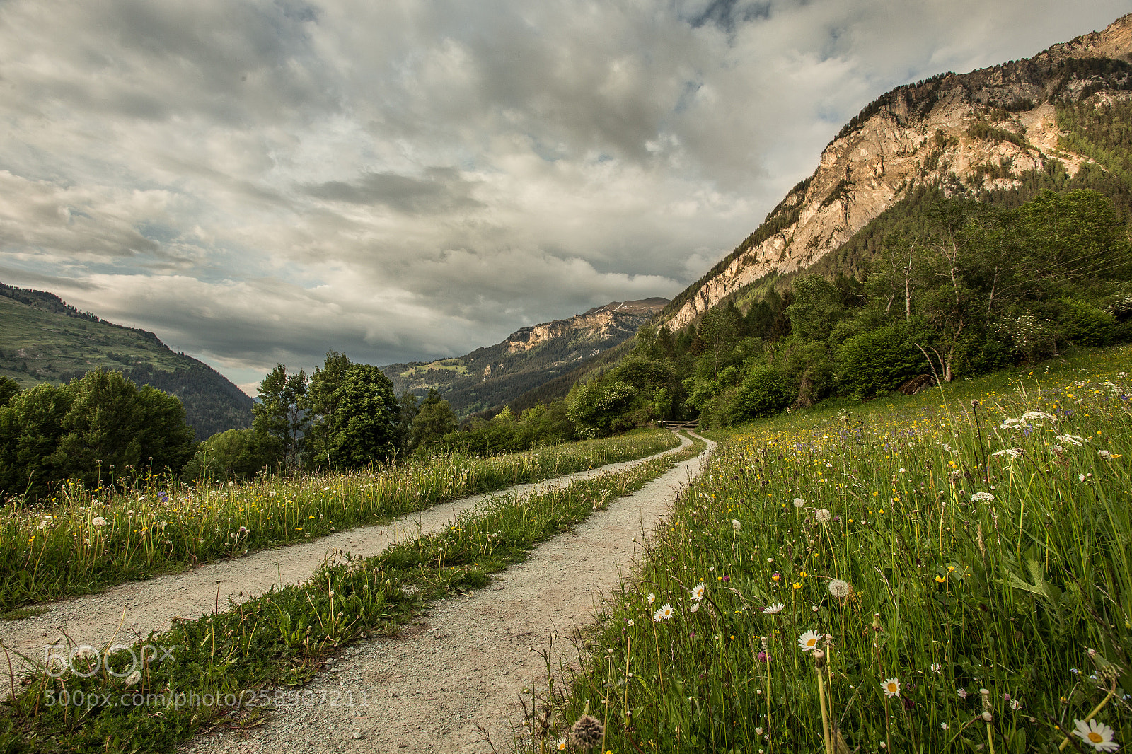 Canon EOS 6D sample photo. Fr hling im val photography
