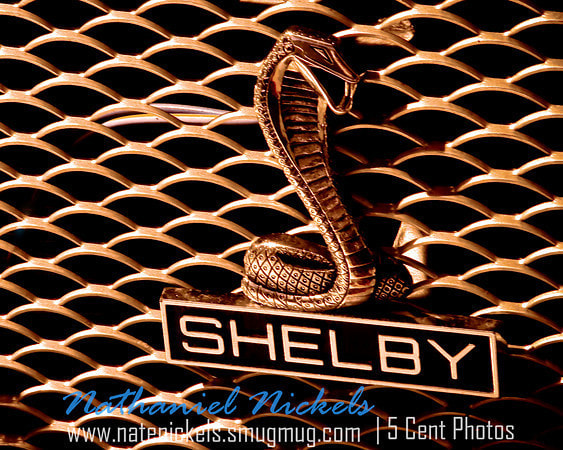 Auto Archaeology: Shelby Cobra Snake