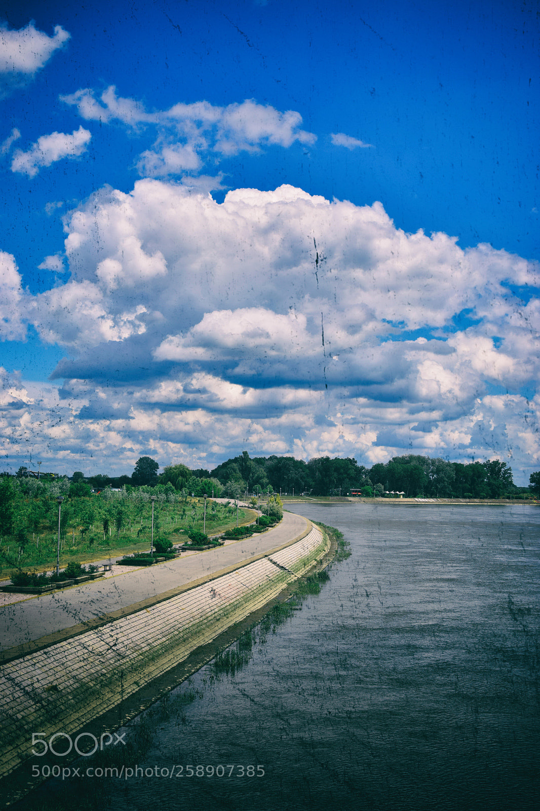 Nikon D5300 sample photo. Untitled photography