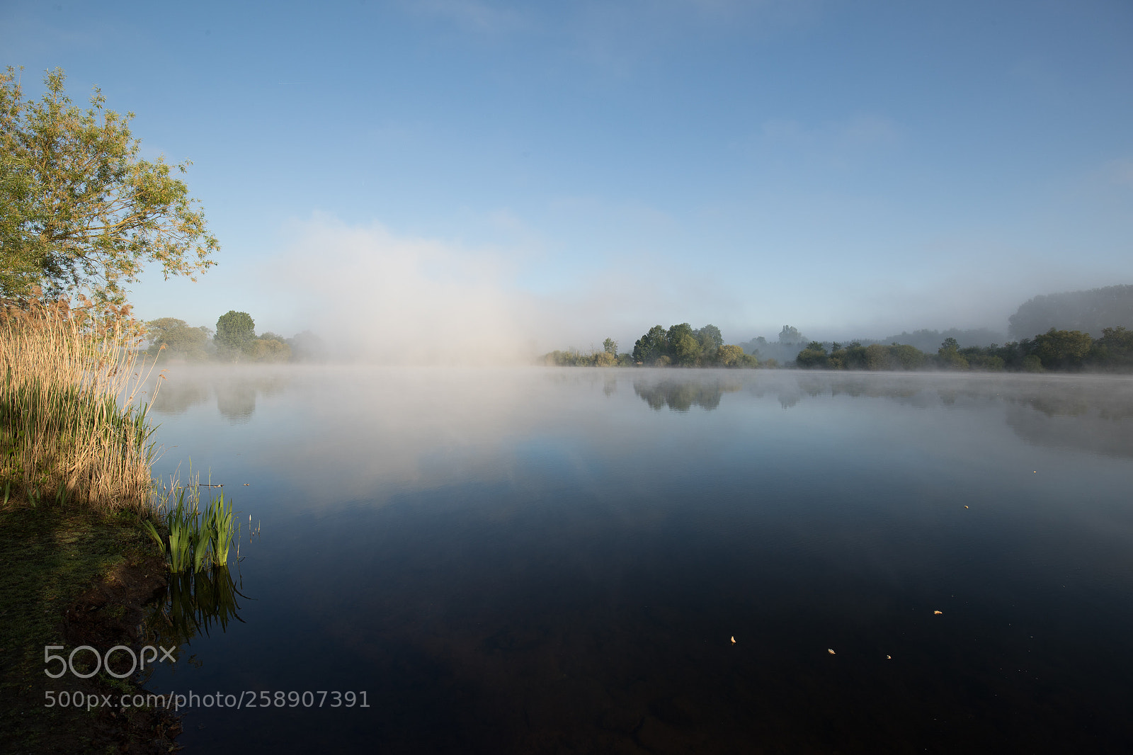 Canon EOS-1D X Mark II sample photo. Morning reflection photography