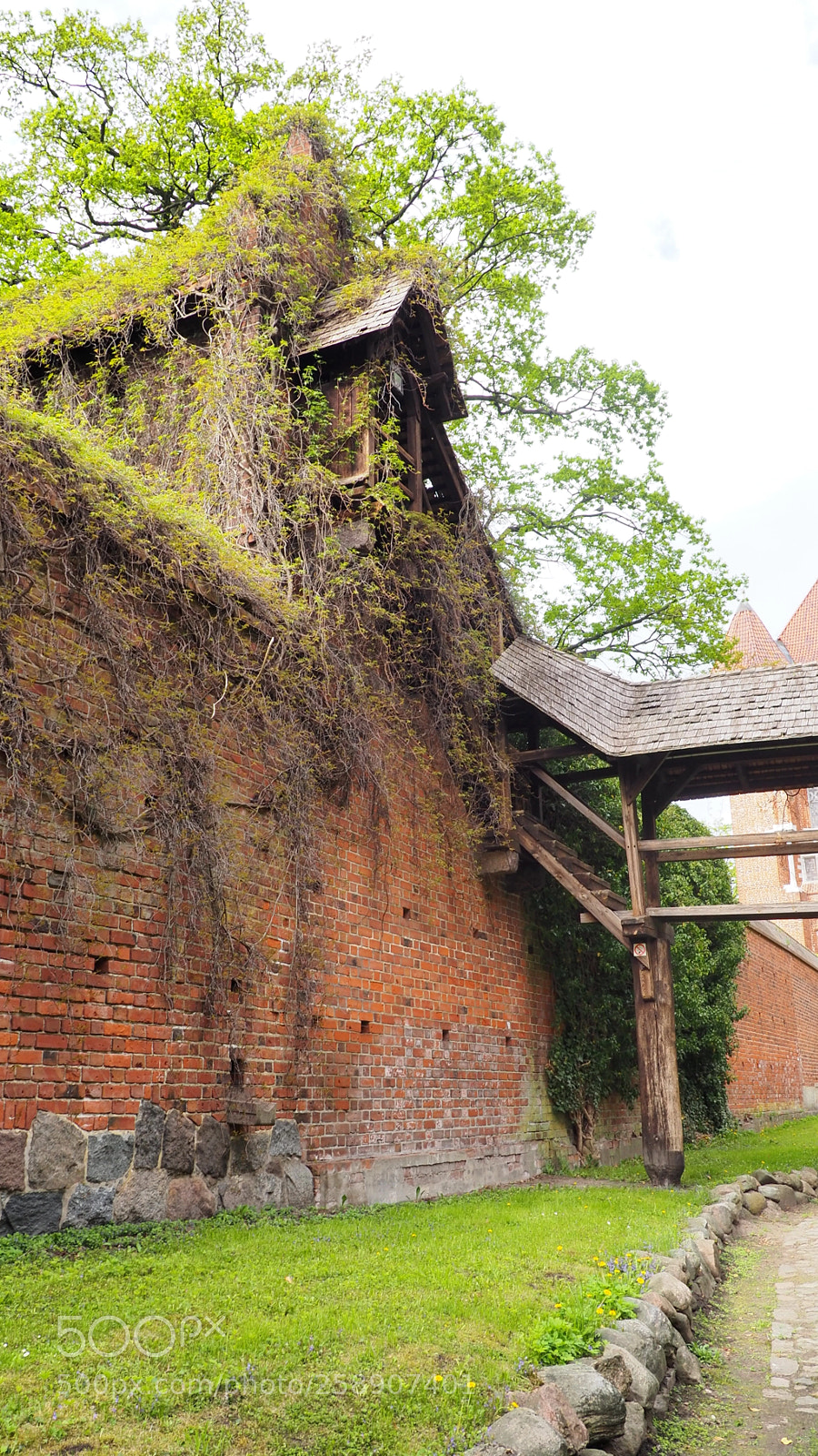 Olympus OM-D E-M10 II sample photo. Malbork castle photography