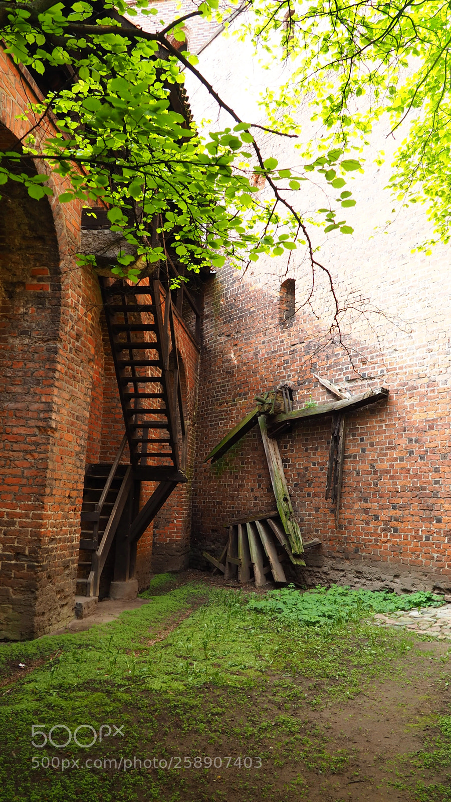 Olympus OM-D E-M10 II sample photo. Malbork castle photography