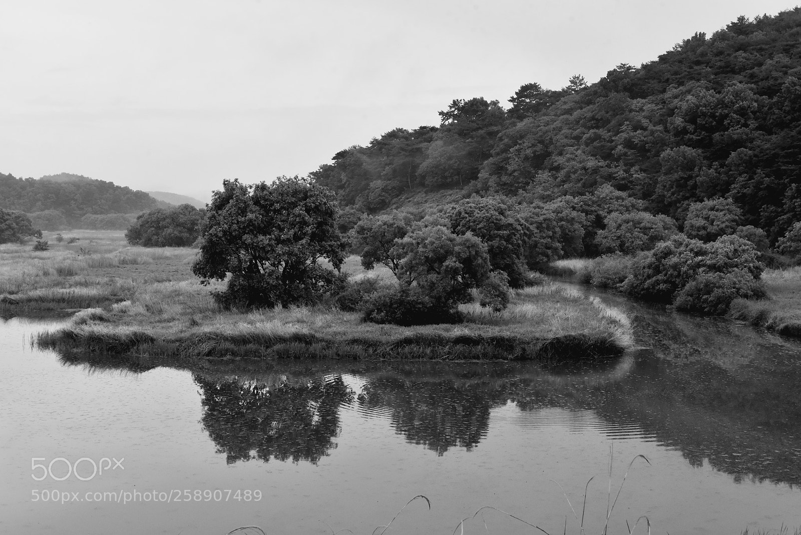 Nikon D750 sample photo. * not alone photography