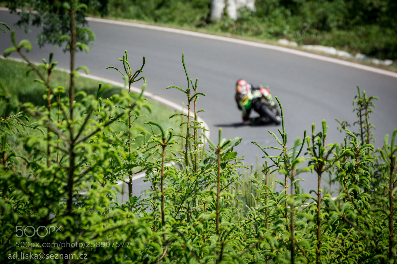 Nikon D5200 sample photo. 300 curves of gustav havel 2018 photography