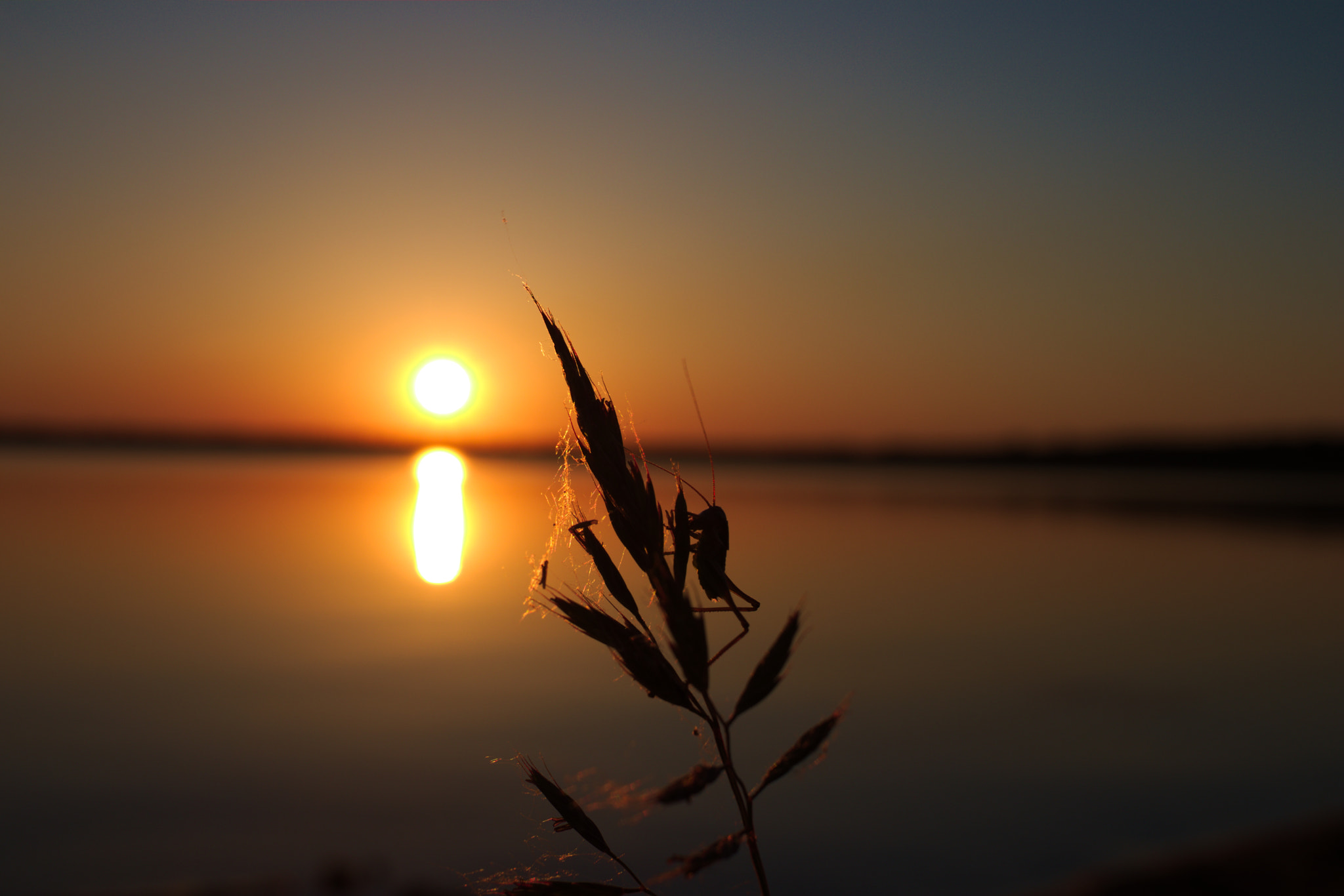 Canon EF-S 24mm F2.8 STM sample photo