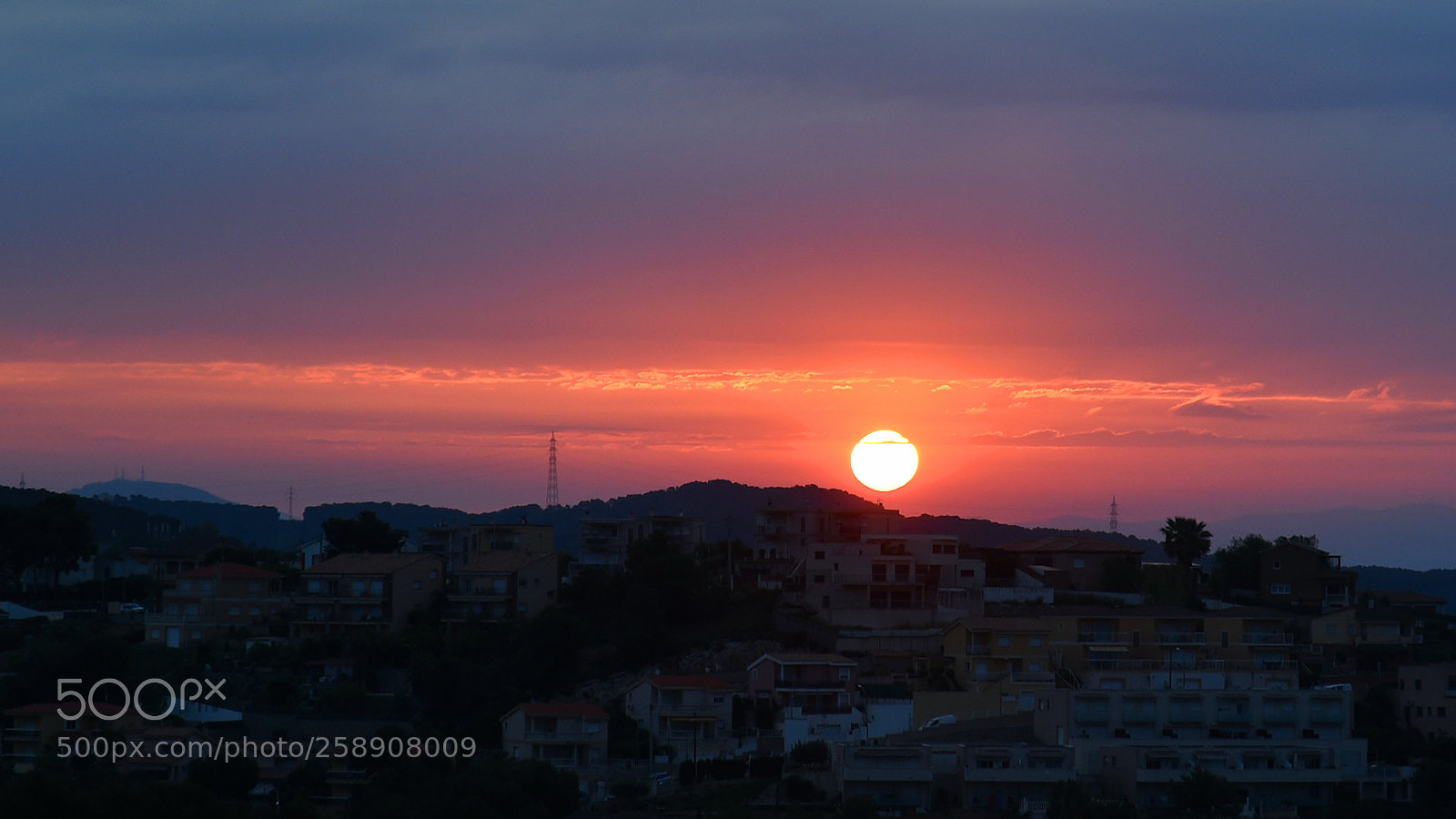 Nikon D750 sample photo. Another day photography