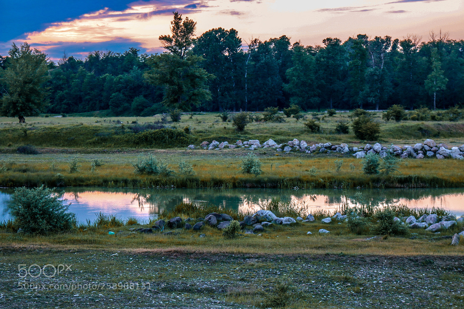 Canon EOS 70D sample photo. Untitled photography